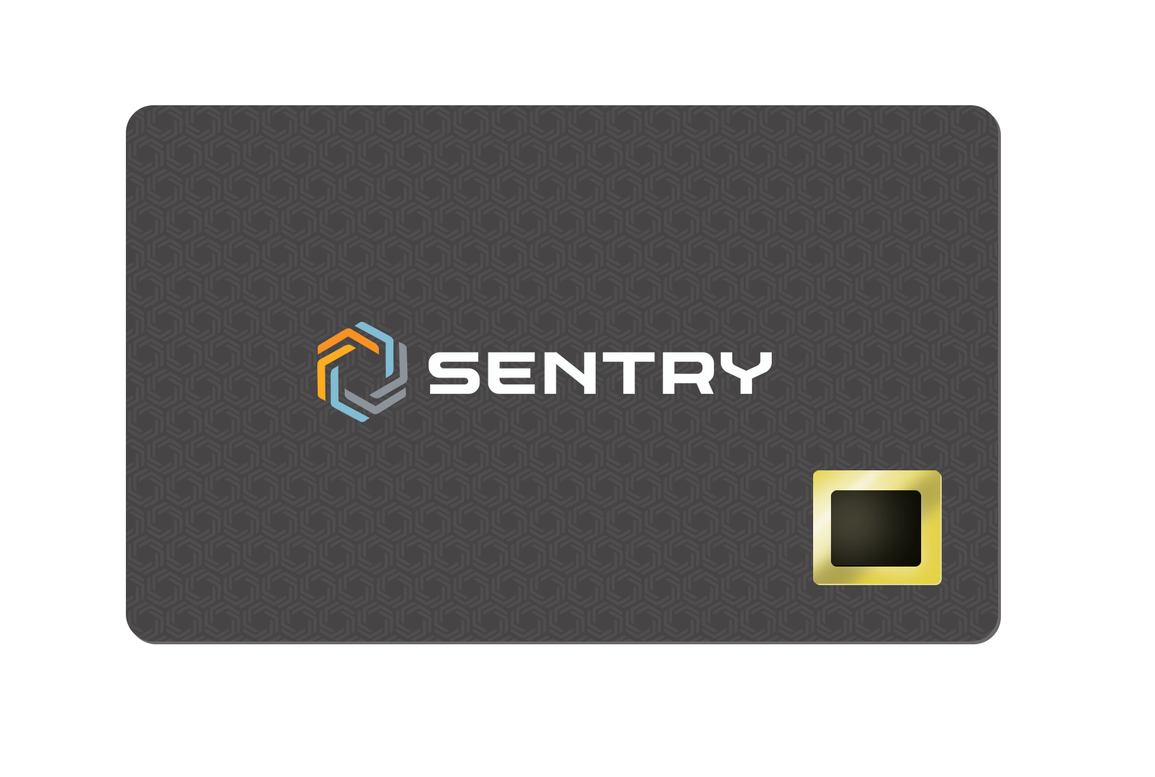 SentryCard in black